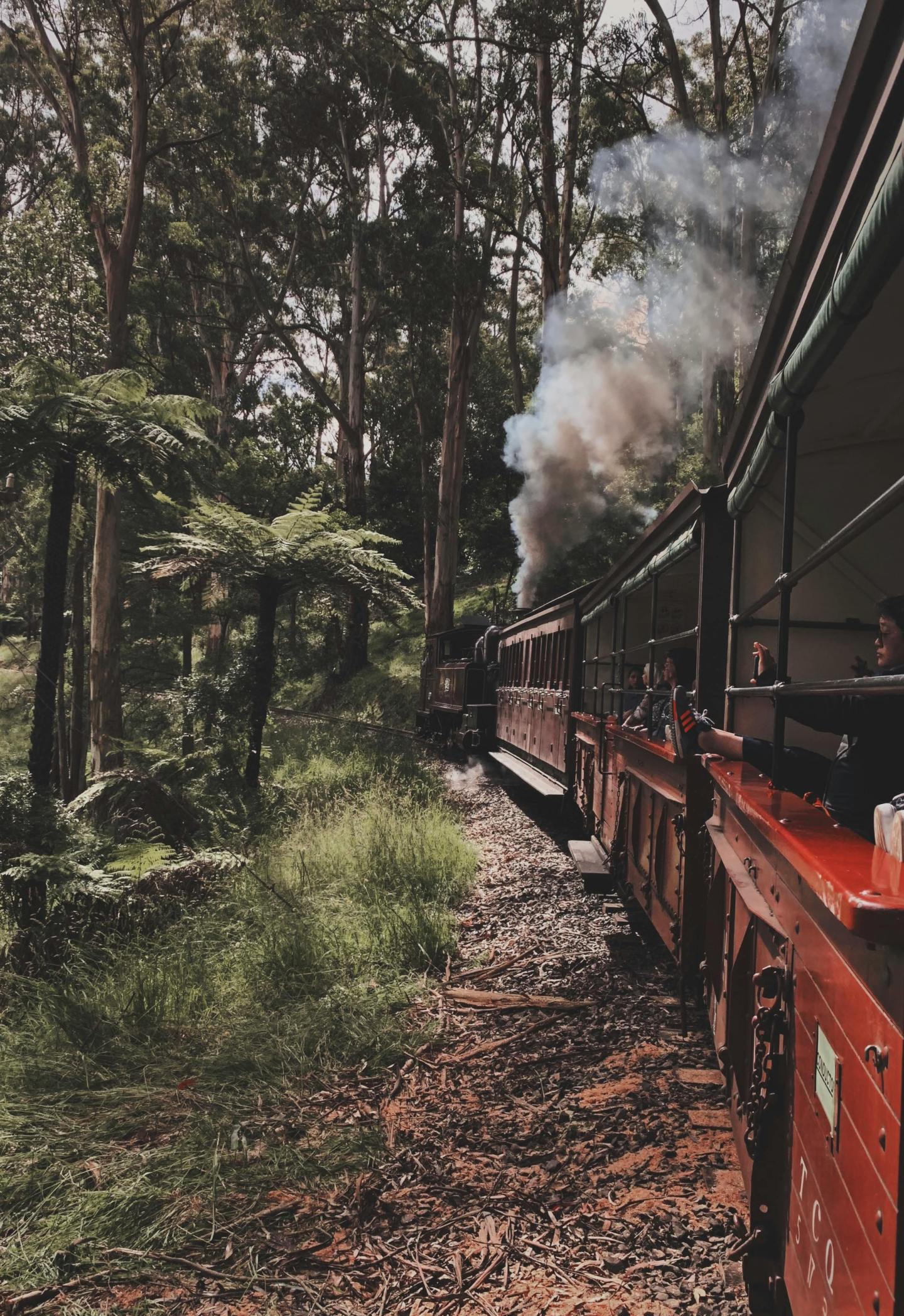 Puffing Billy Rold Riding through time with Puffing Billy Railway – Local Vic