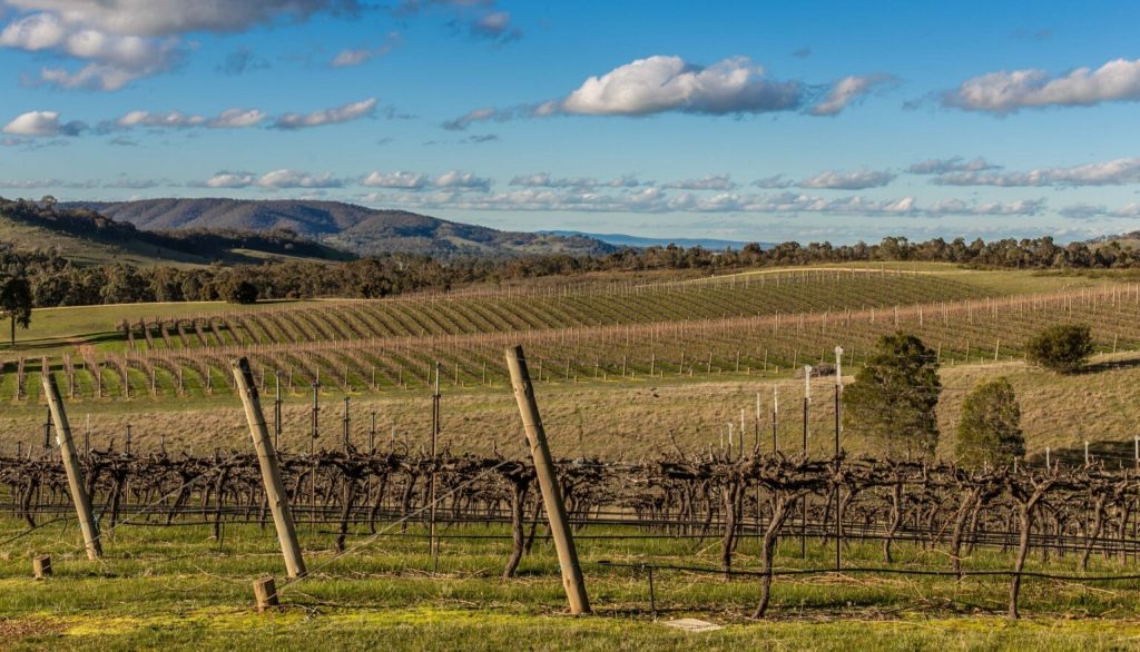 Pyrenees Wine Region
