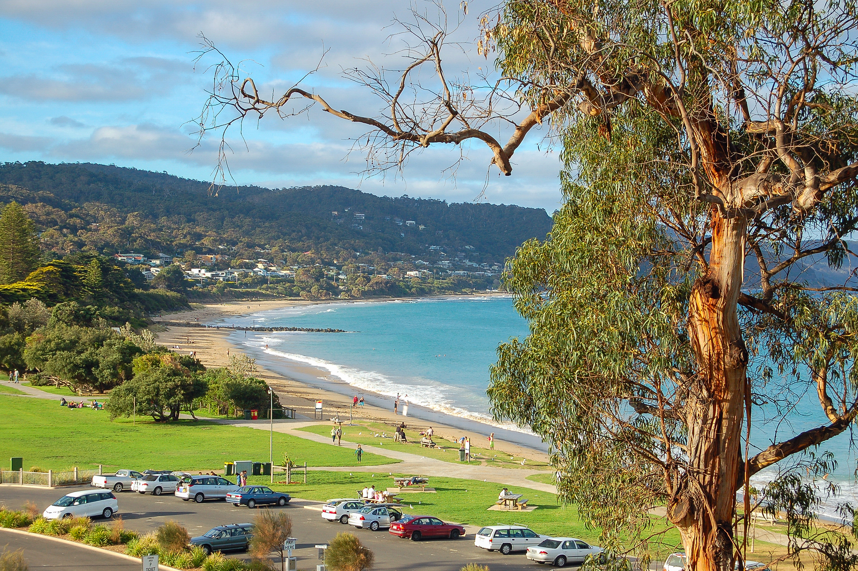 A scenic view of a beach with gentle waves, surrounded by green grass and trees. People are walking along the shore and enjoying the outdoors, while cars are parked on the road nearby.