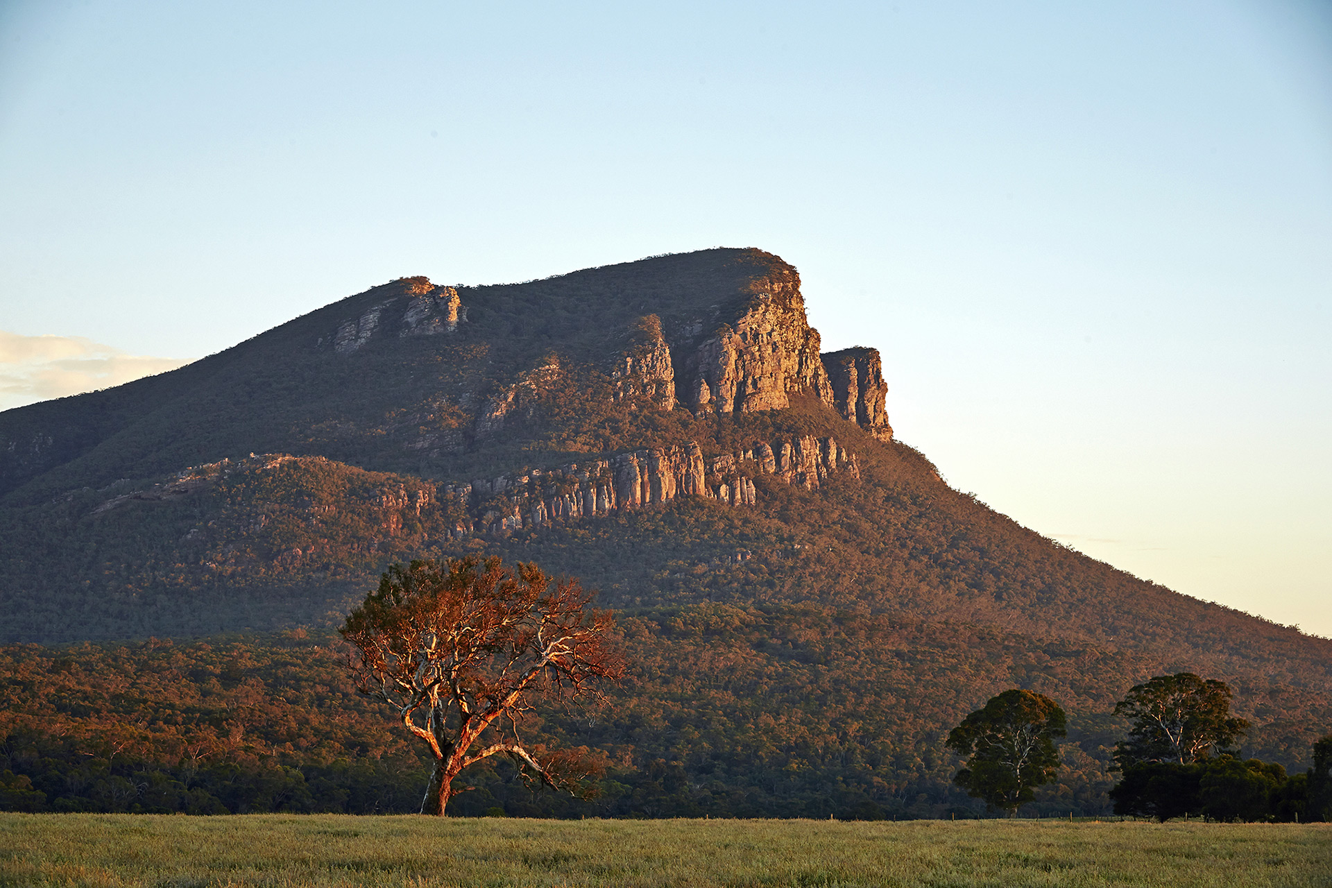 A scenic view of a mountain with a rocky peak, surrounded by lush greenery and a single tree in the foreground.